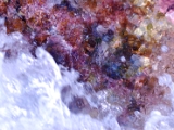gallipoli_italy_marine_life_4.jpg